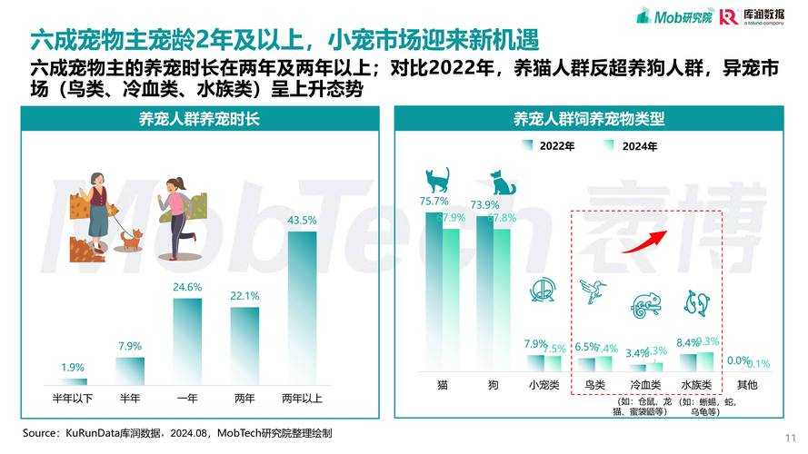 2025年2D网游宠物系统深度体验报告